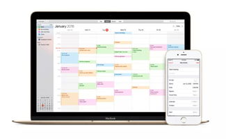 iCloud網頁版反垃圾功能上線 信息處理新里程，治標更需治本